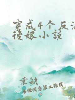 穿成4个反派的后娘小说