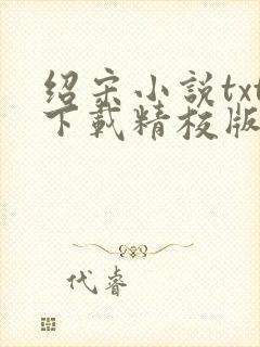 绍宋小说txt下载精校版