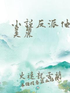 小说反派他过分美丽