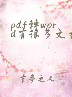 pdf转word有很多文本框