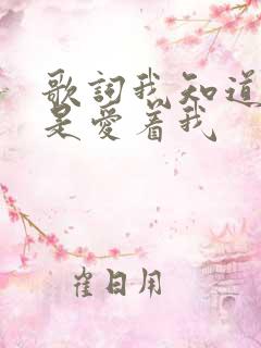歌词我知道你还是爱着我