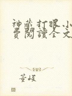 神藏打眼小说免费阅读全文