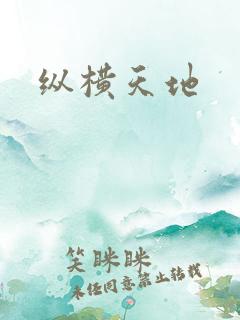 纵横天地