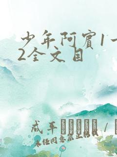 少年阿宾1一72全文目