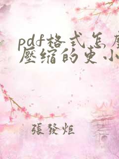 pdf格式怎么压缩的更小
