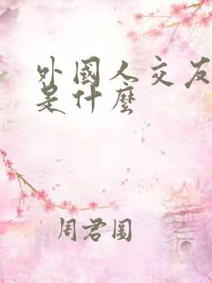 外国人交友软件是什么