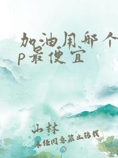 加油用哪个app最便宜