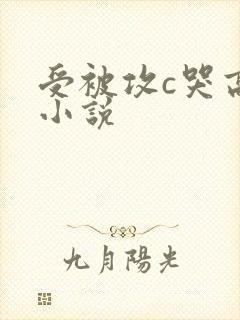 受被攻c哭高h小说