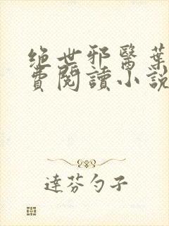 绝世邪医叶凡免费阅读小说