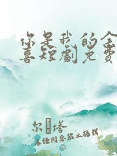 你是我的余生欢喜短剧免费观看全集