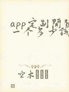 app定制开发一个多少钱