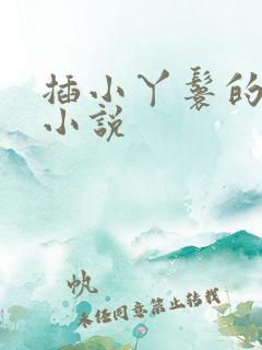 插小丫鬟的屁眼小说