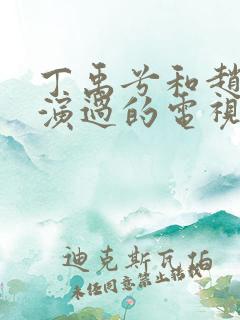 丁禹兮和赵露思演过的电视剧