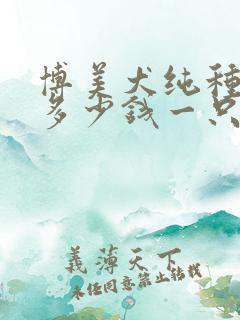 博美犬纯种大约多少钱一只
