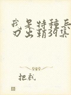 我是特种兵之利刃出鞘39集