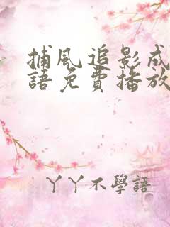 捕风追影成龙国语免费播放