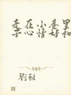 走在小巷里的句子心情好和不好