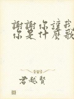 谢谢你让我遇见你是什么歌名的歌词