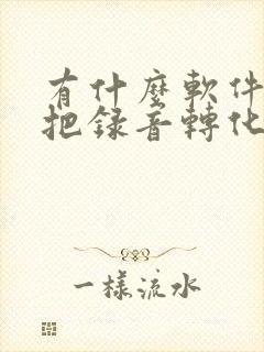 有什么软件可以把录音转化成文字