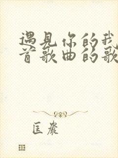 遇见你的我是哪首歌曲的歌词