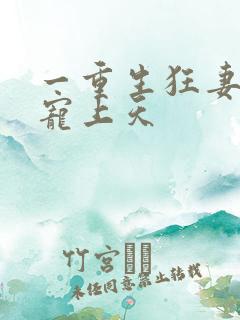 一重生狂妻大佬宠上天