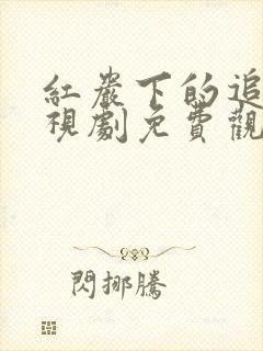 红岩下的追捕电视剧免费观看