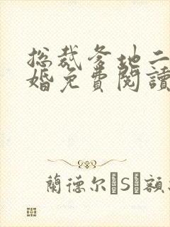 总裁爹地二度宠婚免费阅读