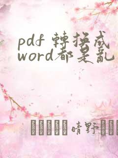 pdf 转换成word都是乱码怎么办