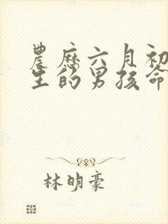 农历六月初一出生的男孩命好吗