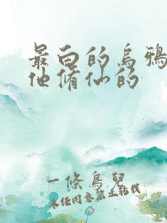 最白的乌鸦谁让他修仙的