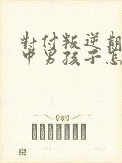 对付叛逆期的初中男孩子怎么办