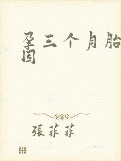 孕三个月胎停原因