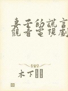 妻子的谎言免费观看电视剧