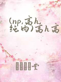 (np,高h,纯肉)高h高辣视频