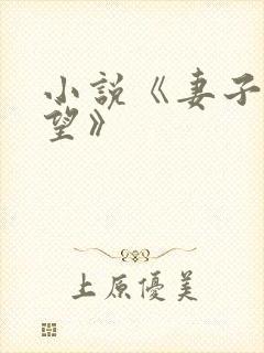 小说《妻子的欲望》