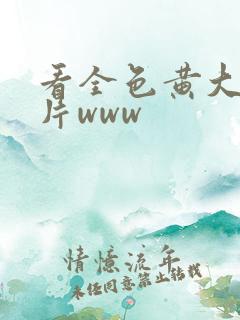 看全色黄大色大片www