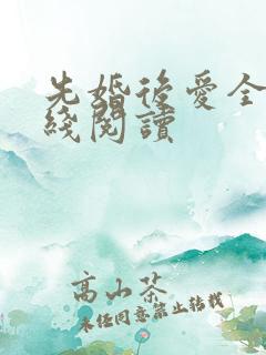 先婚后爱全文在线阅读