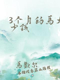 3个月的马犬多少钱