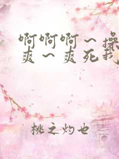 啊啊啊～操的好爽～爽死我了 使劲操