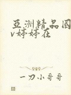 亚洲精品国产av婷婷在