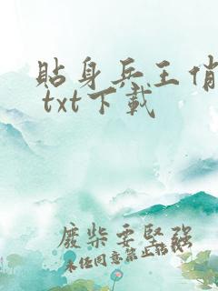 贴身兵王俏总裁 txt下载