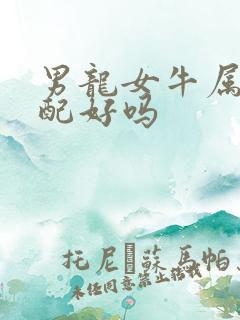 男龙女牛属相婚配好吗