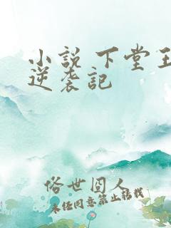 小说 下堂王妃逆袭记