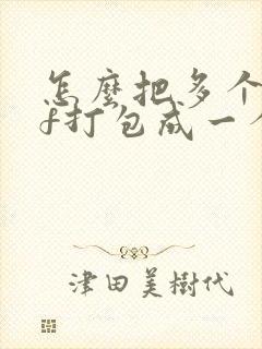 怎么把多个pdf打包成一个压缩文件