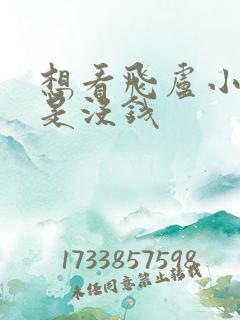 想看飞卢小说但是没钱