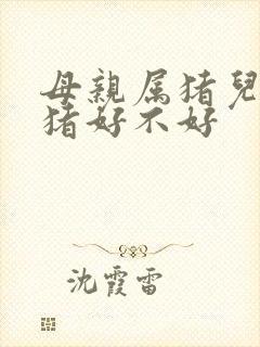 母亲属猪儿子属猪好不好