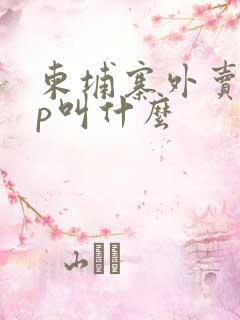 柬埔寨外卖app叫什么