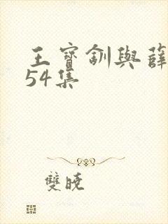 王宝钏与薛平贵54集