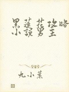 黑莲花攻略手册小说男主