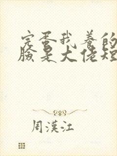 完蛋我养的小白脸是大佬短剧大结局